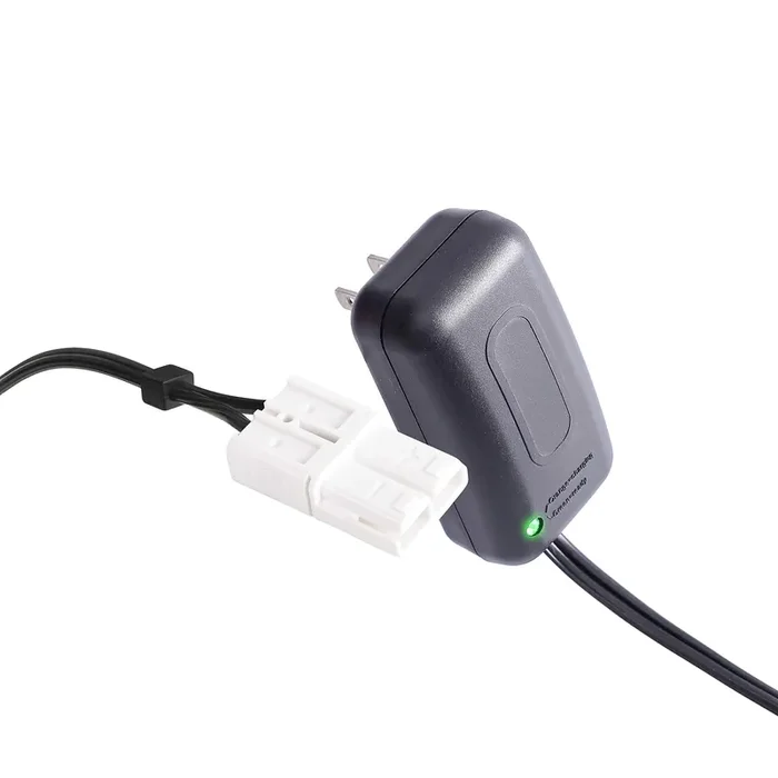 12V Charger for Rollplay, 12 Volt Battery Charger for Roll Play Chevy Colorado GMC Sierra Mercedes Coupe Child Battery-Powered R